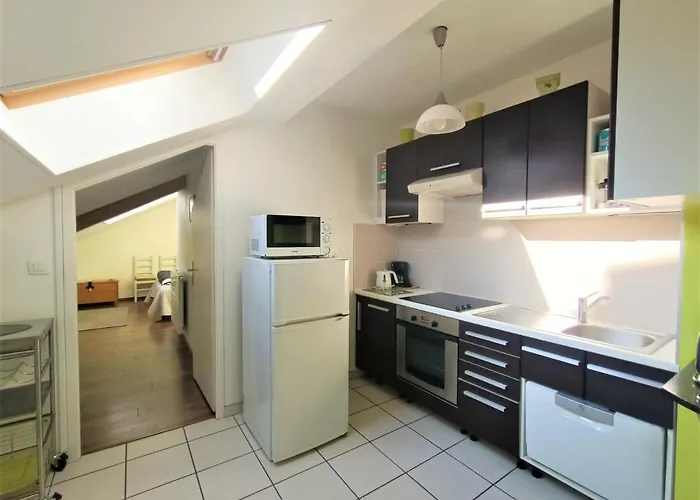 Apartment T2 Moderne Et Climatise A - Fr-1-555-61 Aix-les-Bains